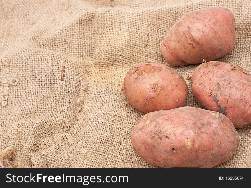 Fresh potatoes on sackcloth material