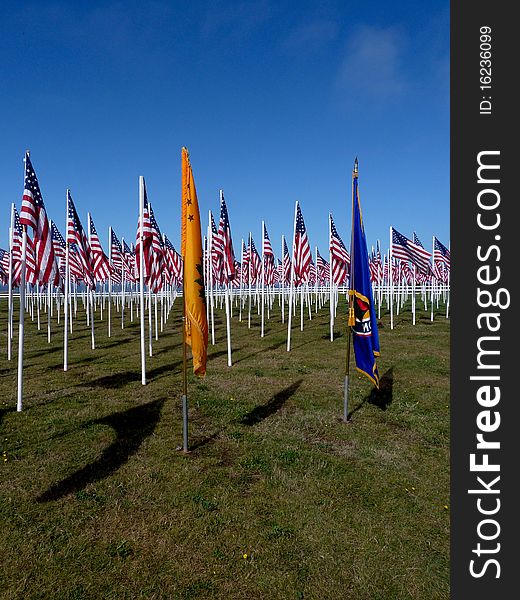 A field filled with American Flags for Veteran's Day