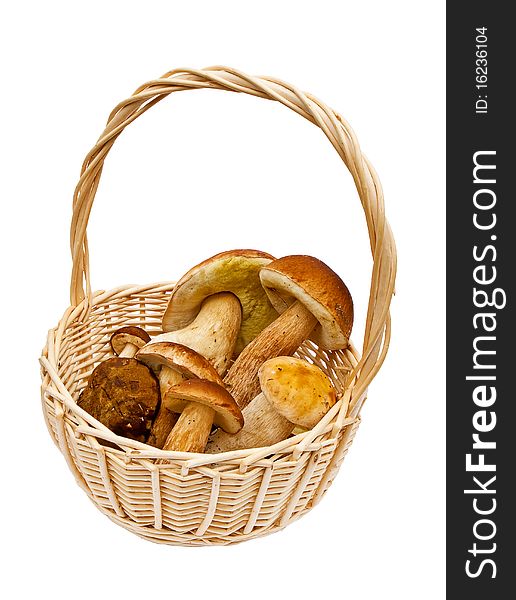 Small elegant basket with mushrooms on white background. Small elegant basket with mushrooms on white background