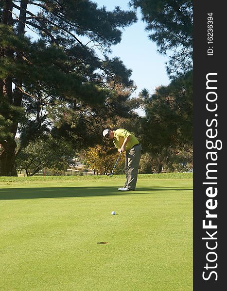 Young male golfer hitting the ball on the putting green on a beautiful summer day. Young male golfer hitting the ball on the putting green on a beautiful summer day