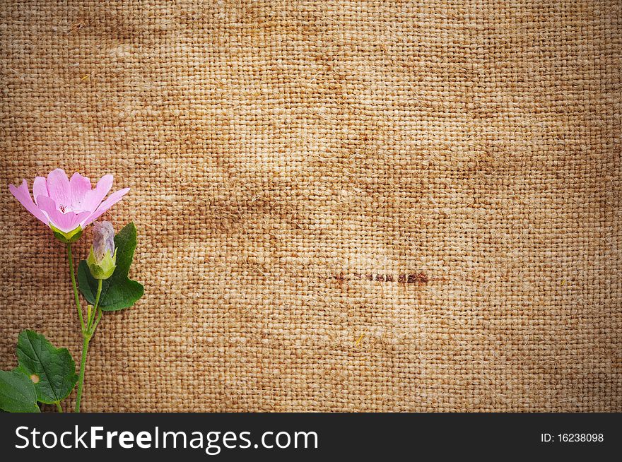 Blank Grungy Canvas Background