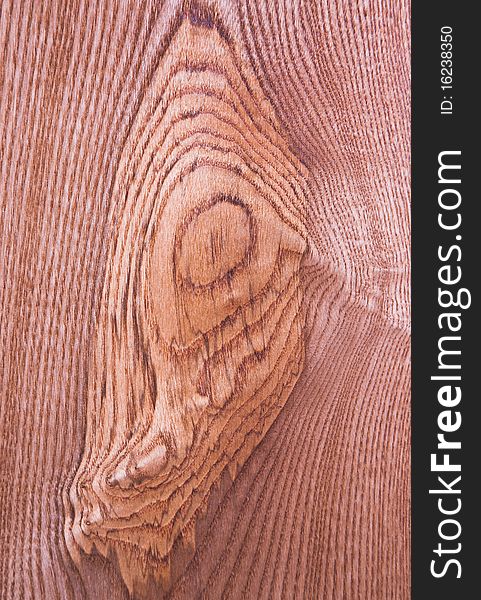 Wood texture, close-up photo