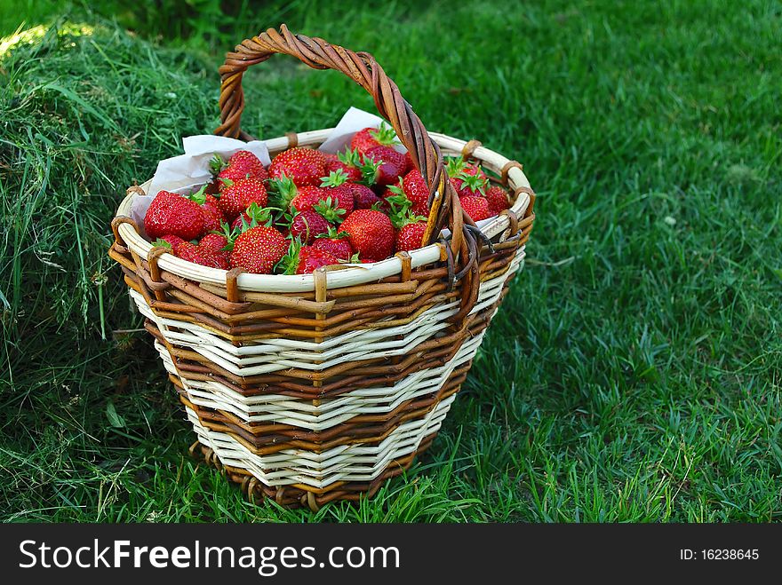 Basket full of red strawberry