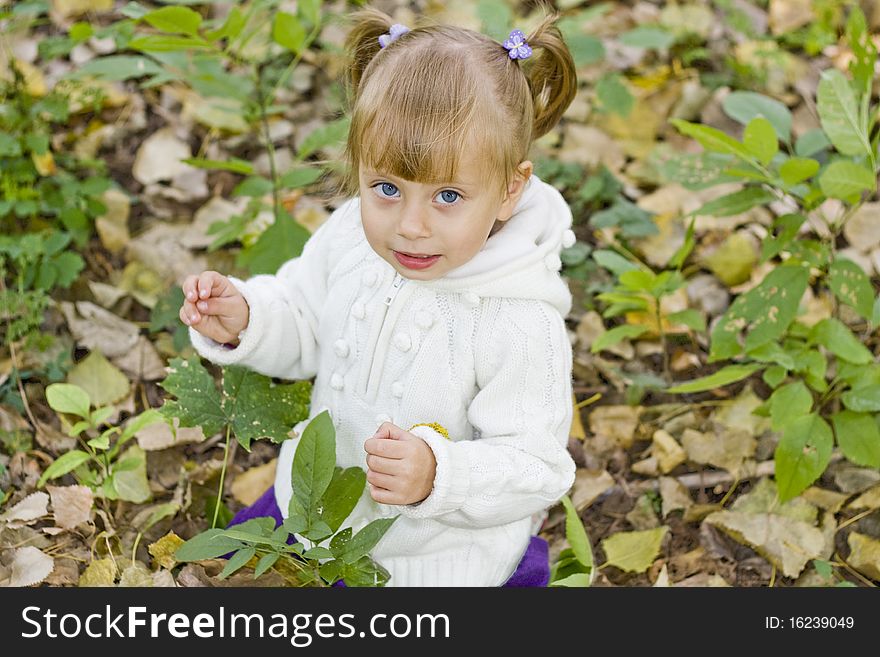 Little girl playing in autumn park. Little girl playing in autumn park