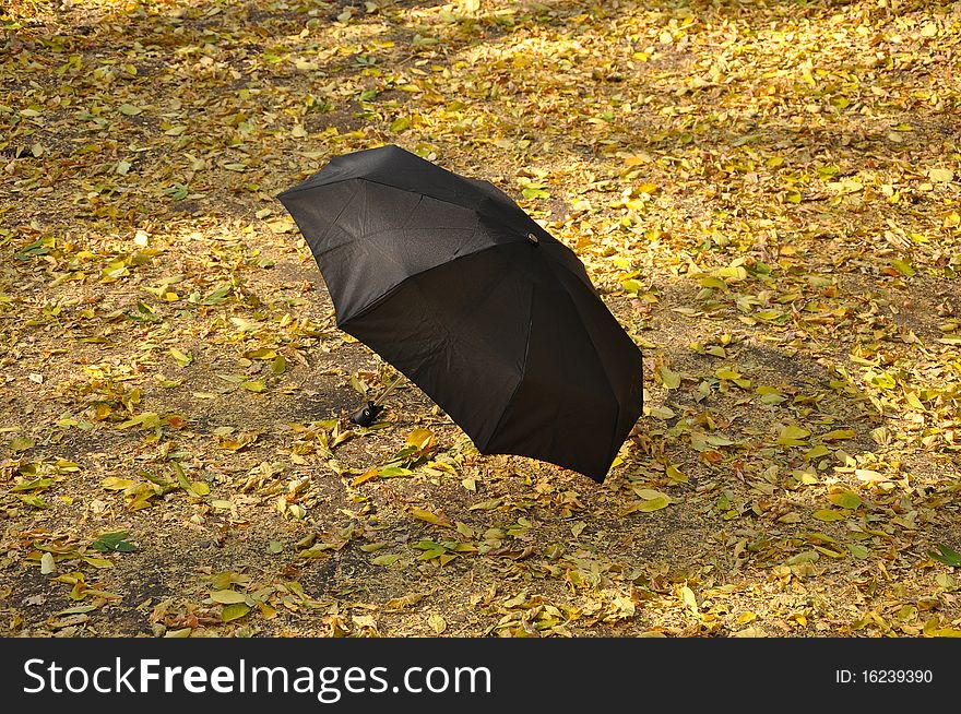 Black umbrella on autumn foliage in a park. Black umbrella on autumn foliage in a park