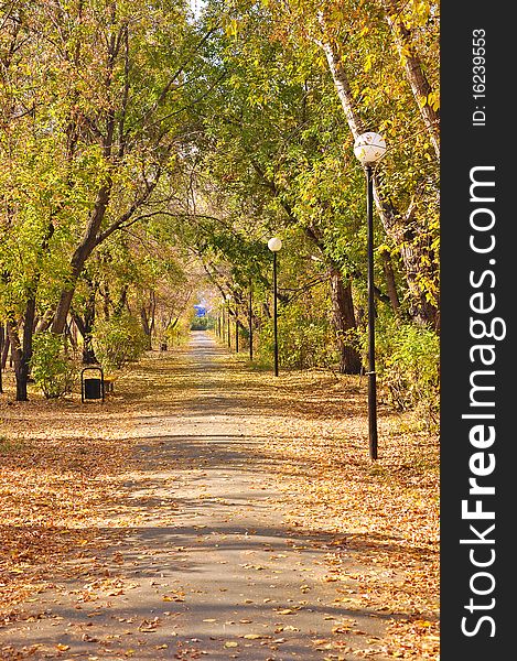 Scenic view colorful autumn pathway in the park