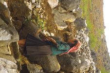 Woman Cultivating The Land Among The Rocks Stock Photos Woman Cultivating The Land Among The Rocks Stock Photos