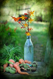 Suburban Still Life Stock Images Suburban Still Life Stock Images