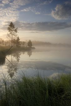 Bog Lake Early Morning Summer Stock Photos Bog Lake Early Morning Summer Stock Photos