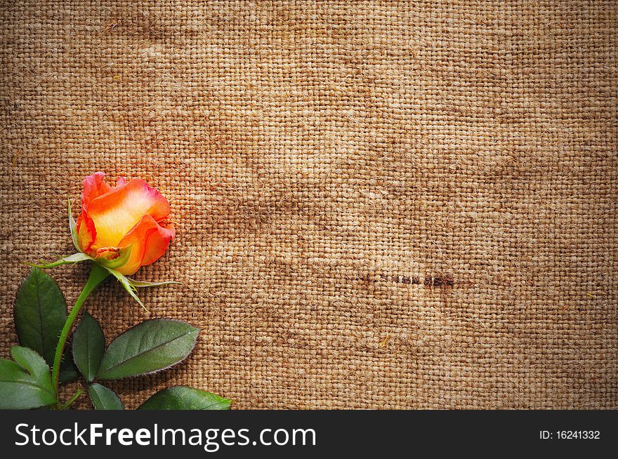 A blank grungy canvas texture. Great for backgrounds. A blank grungy canvas texture. Great for backgrounds.