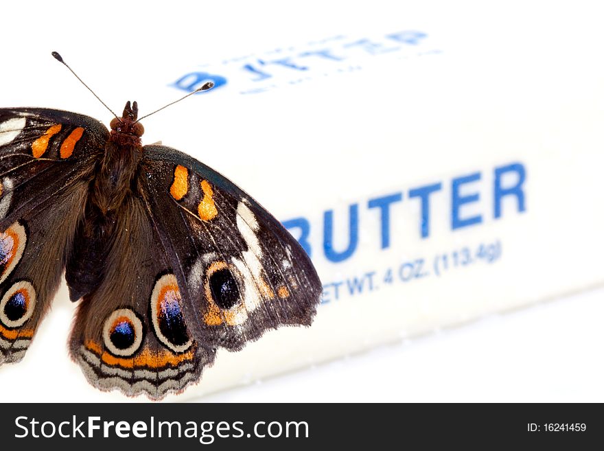 Buckeye Butterfly On A Butter