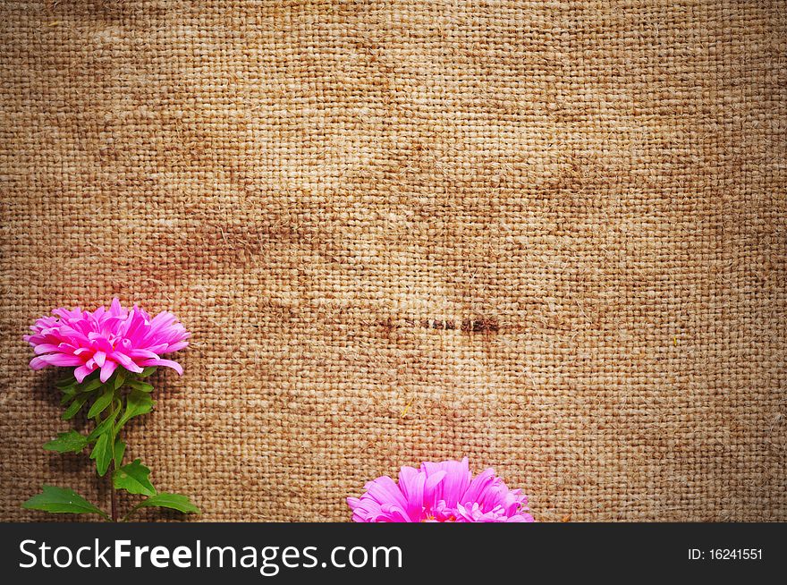 Blank Grungy Canvas Background