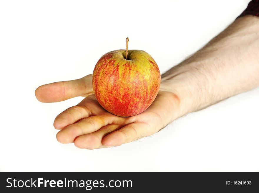 Isolated red apple on the hand. Isolated red apple on the hand
