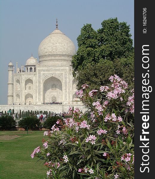 An angled view of the Taj Mahal with its beautiful gardens in the foreground. An angled view of the Taj Mahal with its beautiful gardens in the foreground