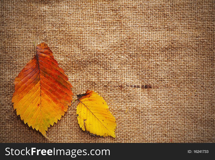 A blank grungy canvas texture. Great for backgrounds. A blank grungy canvas texture. Great for backgrounds.