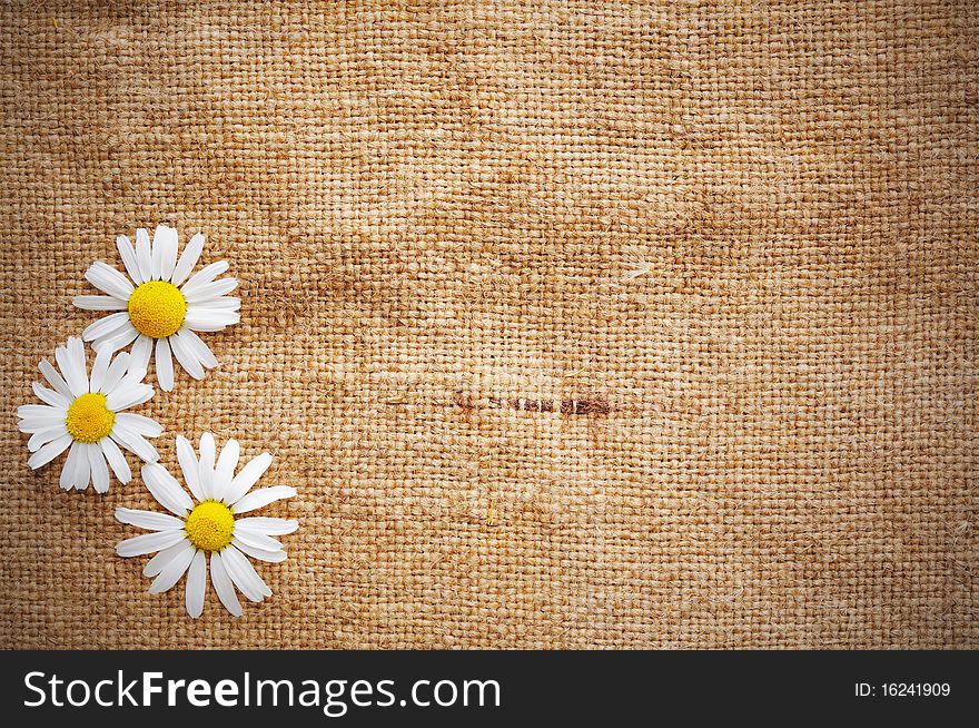 Blank Grungy Canvas Background