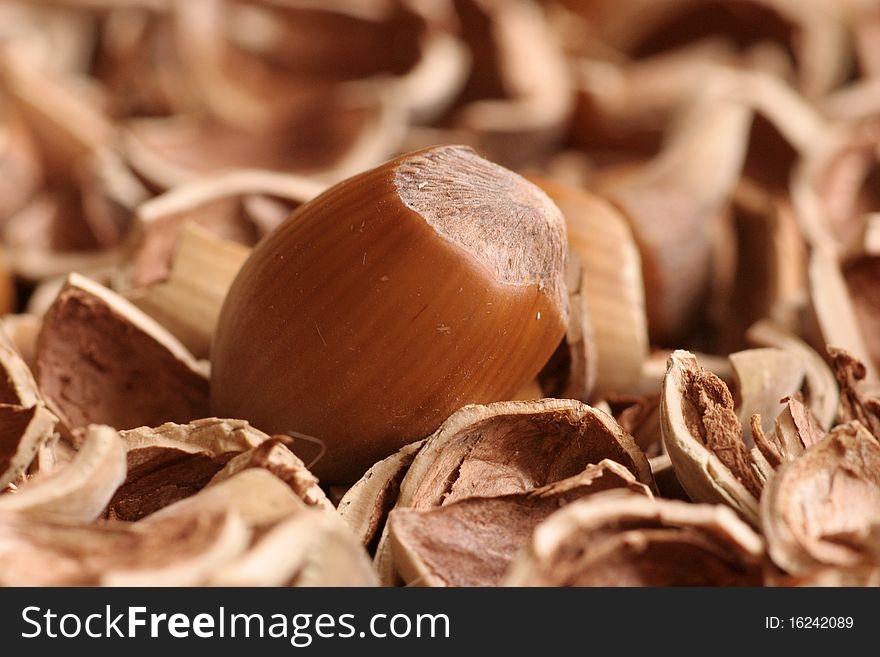 Hazelnut with background composed of cracked hazelnuts nutshells. Hazelnut with background composed of cracked hazelnuts nutshells