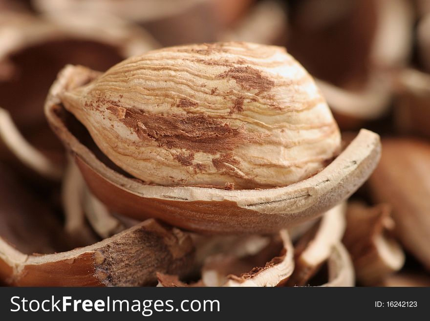 Hazelnut core on a background composed of cracked hazelnuts nutshells. Hazelnut core on a background composed of cracked hazelnuts nutshells