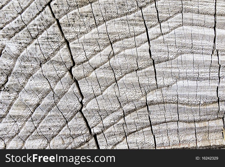 Old  Wooden Texture