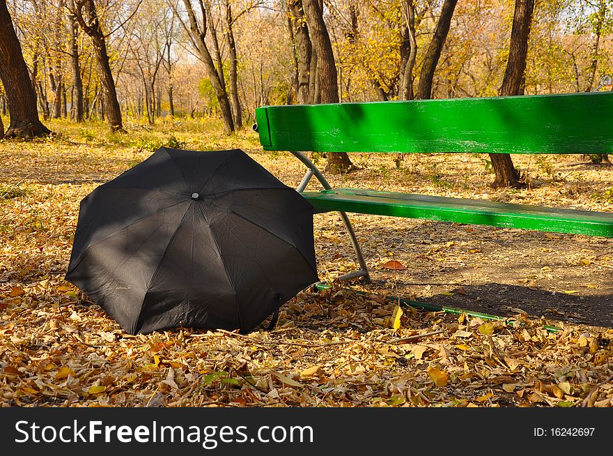 Black umbrella on autumn foliage in a park. Black umbrella on autumn foliage in a park