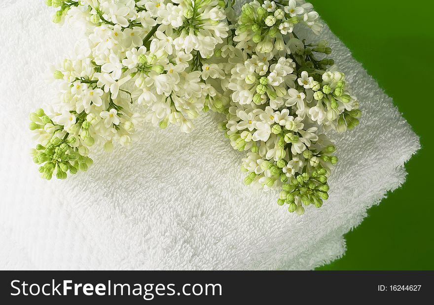 Pile white towels on green background and branch of white lilac