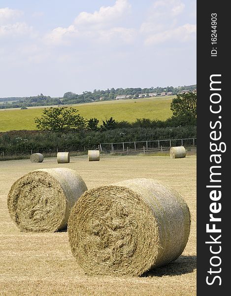 Closeup with hay bales
