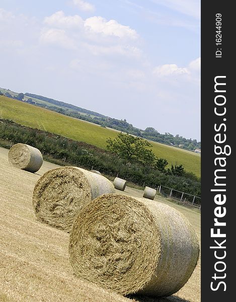 Hay bales against blue sky in summer season. Hay bales against blue sky in summer season