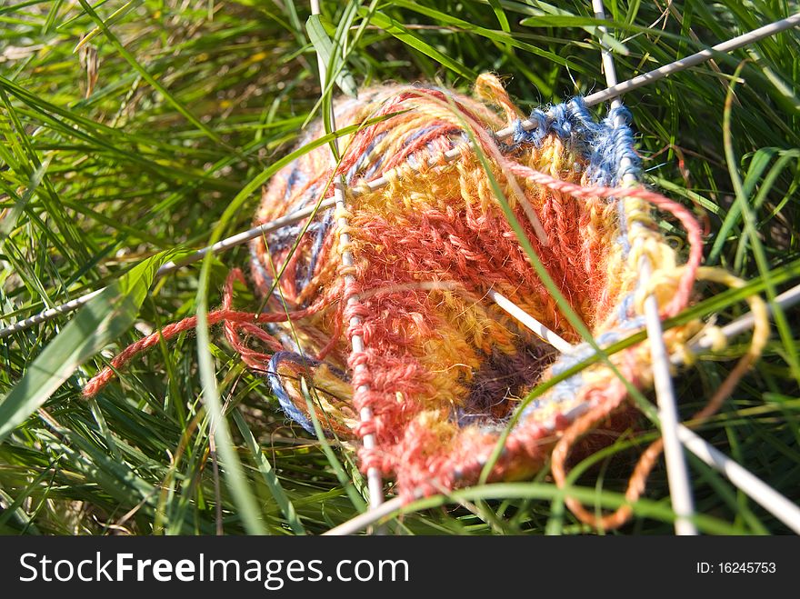 Tricolored clew with knitted pattern and five needles is on green bright grass. Tricolored clew with knitted pattern and five needles is on green bright grass