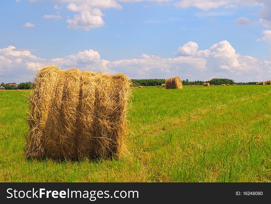 Straw bales on field