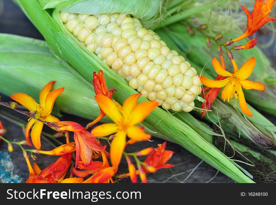 Young corn-cob, alongside orange flowers. Young corn-cob, alongside orange flowers