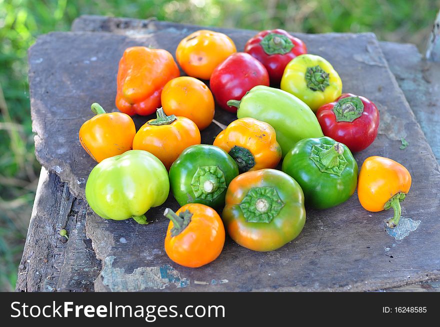 Sweet, varicoloured pepper on a chair