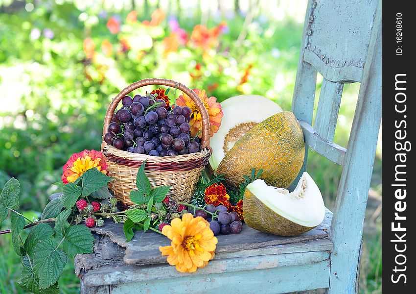 Vine, melon, raspberry flowers on a table. Vine, melon, raspberry flowers on a table