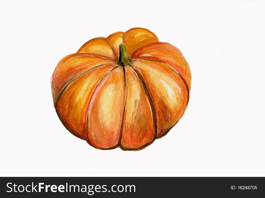 Illustration, Single Pumpkin