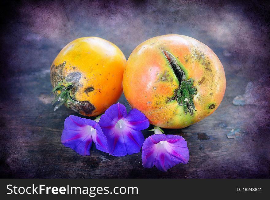 Spoiled yellow tomatoes and lilac flowers. Spoiled yellow tomatoes and lilac flowers