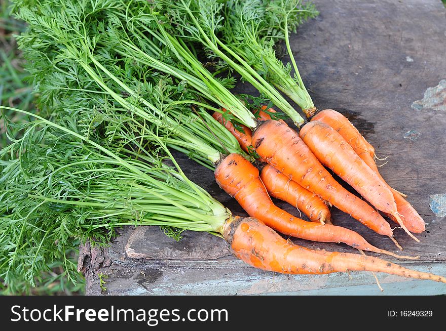 Carrot with greenery on a table