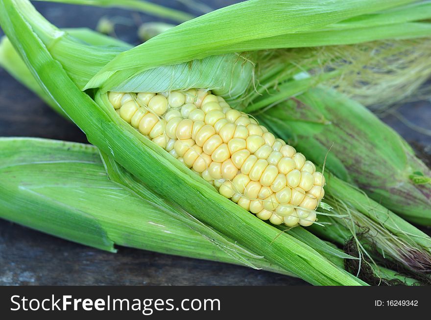 A corn-cob is in a green husk