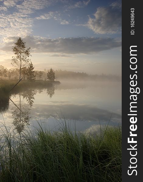 Bog lake early morning summer