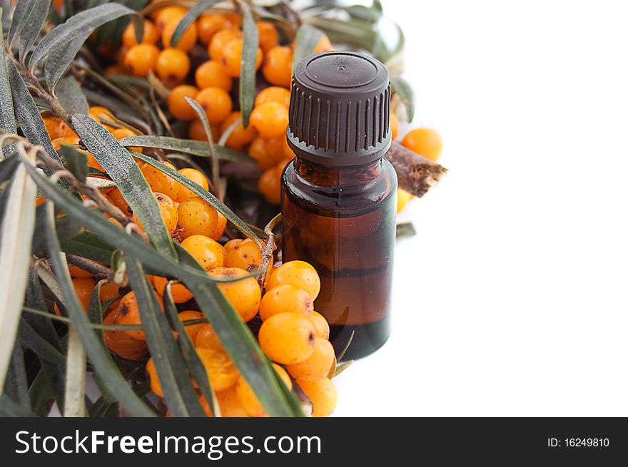 Sea buckthorn oil with berries on white background
