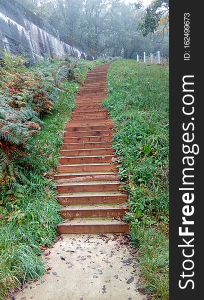 Stairway, way of life, forest, autumn, breathe life.