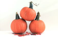 Three Pumpkins - Isolated Royalty Free Stock Photos Three Pumpkins - Isolated Royalty Free Stock Photos