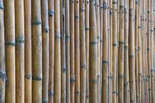 Bamboo Fence, Thailand. Royalty Free Stock Image Bamboo Fence, Thailand. Royalty Free Stock Image