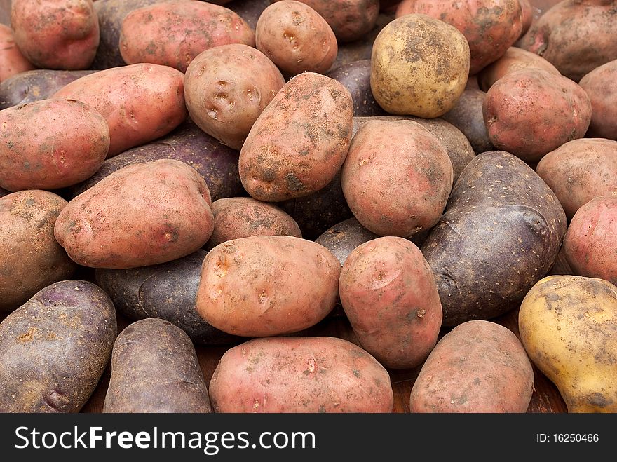 New potatoes for background or food