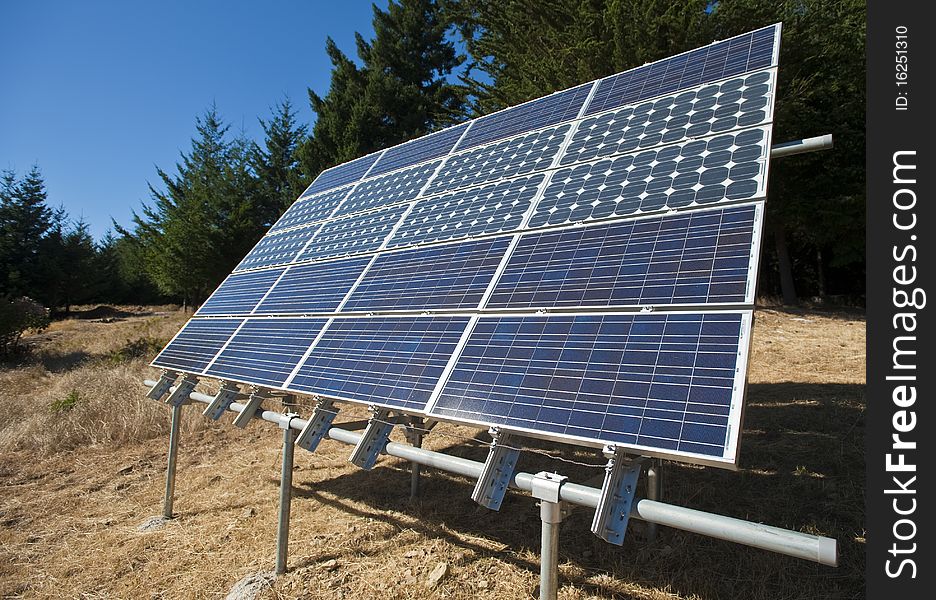 A solar panel array sits amongst the trees. A solar panel array sits amongst the trees.