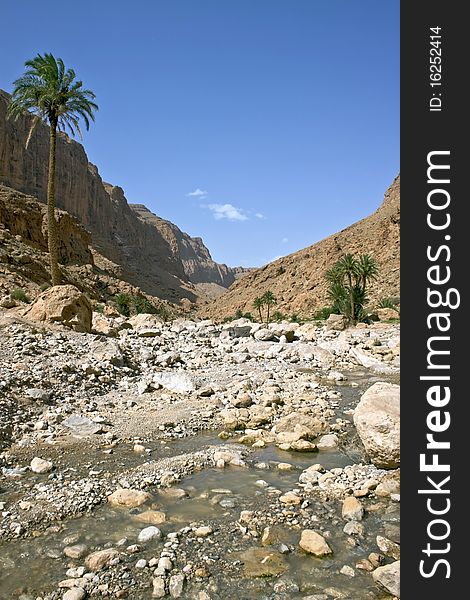 View of Todra Gorges, Morocco