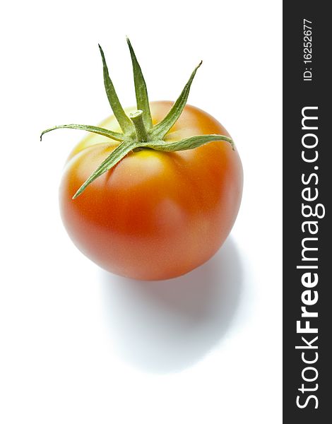 Ripe Red Tomato on Reflective White with Soft Shadow Underneath