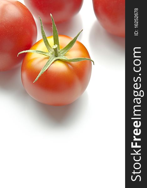 Ripe red tomatoes on white background along top of frame. Copy space beneath