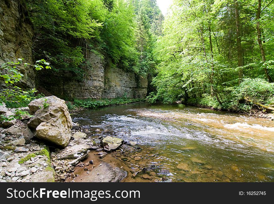 Whitewater in the Black Forest between trees and rocks