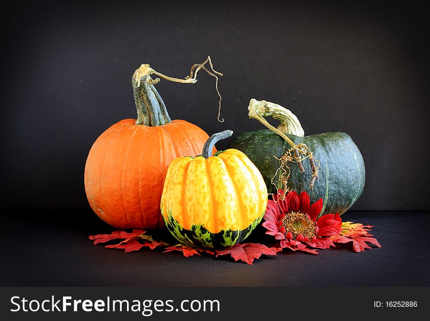 A pumpkin, squash, fall leaves and sunflower, against a black background. A pumpkin, squash, fall leaves and sunflower, against a black background.