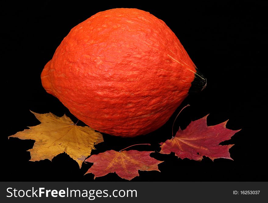 The bright pumpkin and maple leaves make an autumn still-life