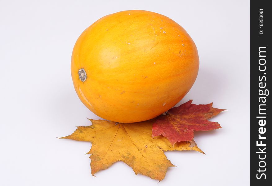 The bright pumpkin and maple leaves make an autumn still-life